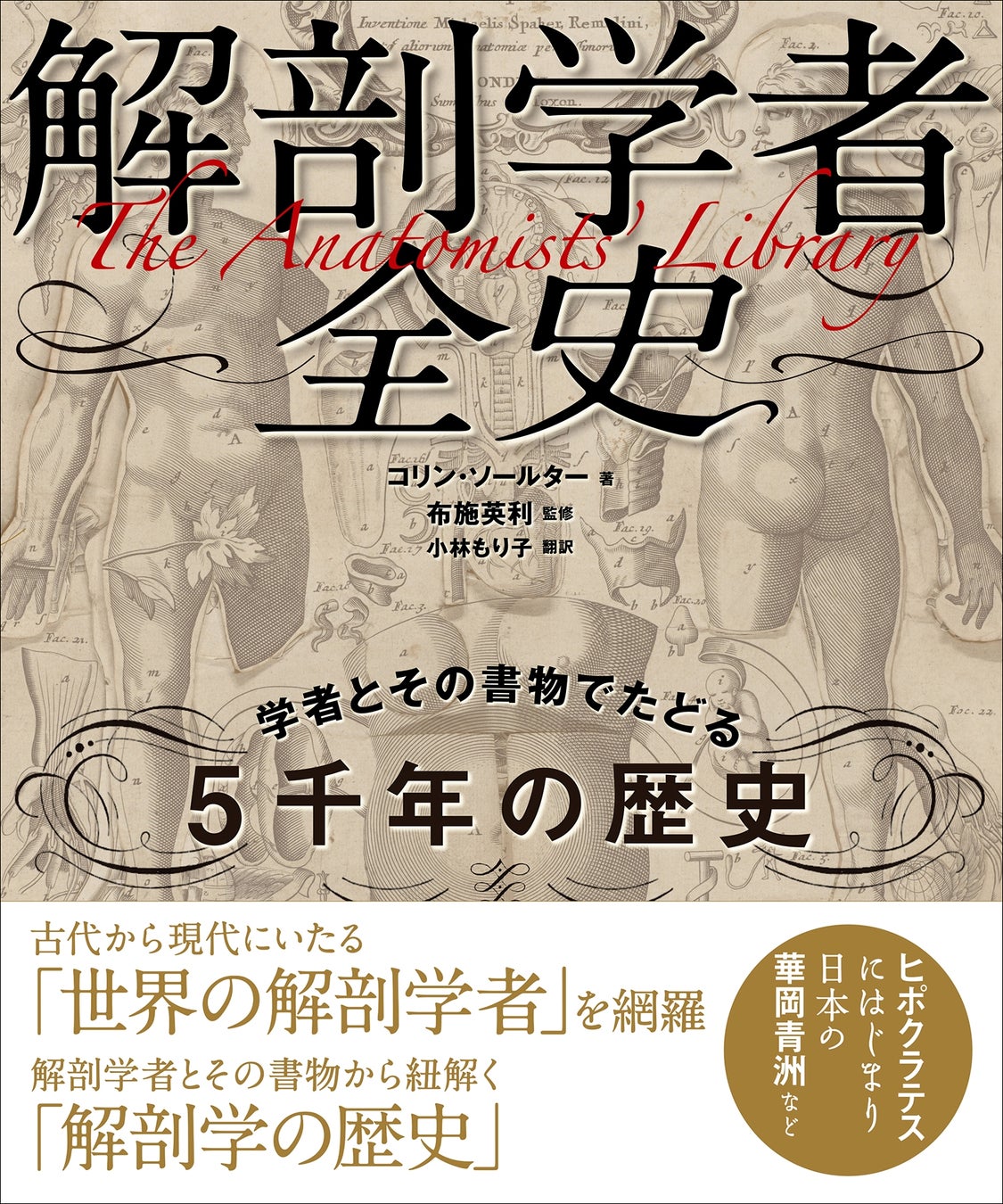 グラフィック社が『解剖学者全史』を9月に発売、医学と芸術の融合を5000年の歴史でたどる