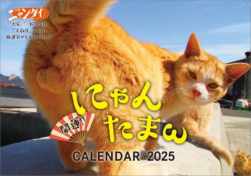 ハゴロモが「開運!! にゃんたまωカレンダー2025」を発売決定、A4壁掛けサイズで大きな写真とお守りカード特典付き